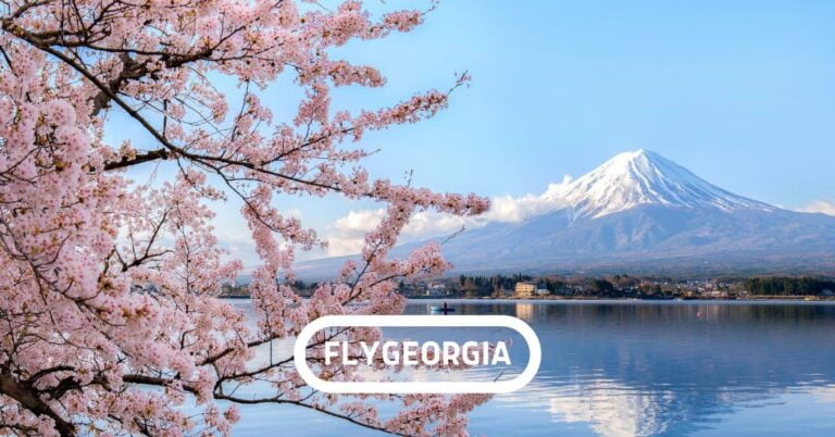 თბილისი ტოკიო